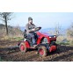 Unitate de putere Panter FD5 cu mașină de întors fânatul OP114