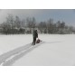 Lamă de zăpadă RUNI 80 pentru Tekton