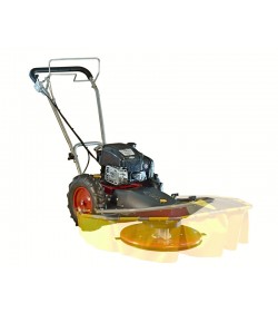Motocoasă cu disc dublu Briggs (2020)